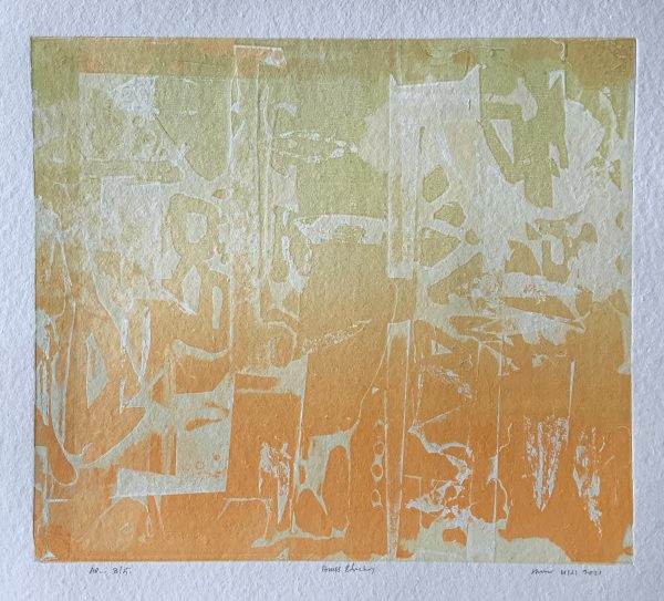 Rajendra Patil's 2021 collection no.2
